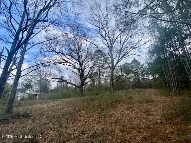 2190 Summit Holmesville Road McComb, MS 39648 - Photo 15 of 16 IMG_9026