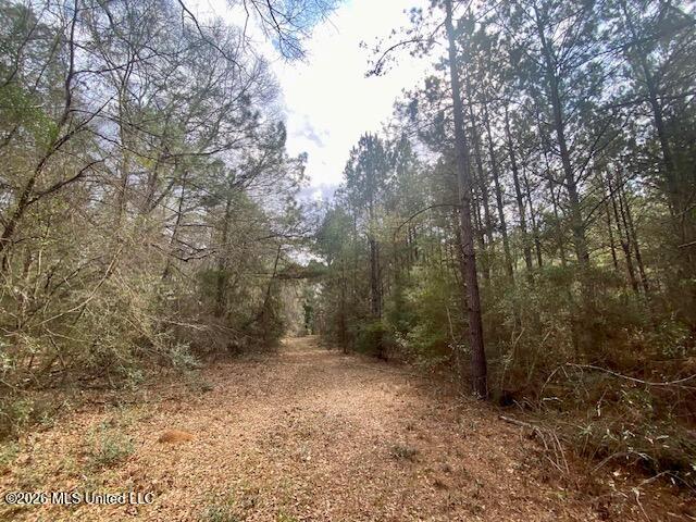 2190 Summit Holmesville Road McComb, MS 39648 - Photo 4 of 16 IMG_9018