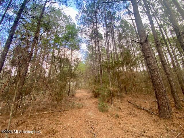 2190 Summit Holmesville Road McComb, MS 39648 - Photo 5 of 16 IMG_9023