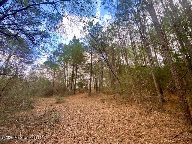 2190 Summit Holmesville Road McComb, MS 39648 - Photo 6 of 16 IMG_9024