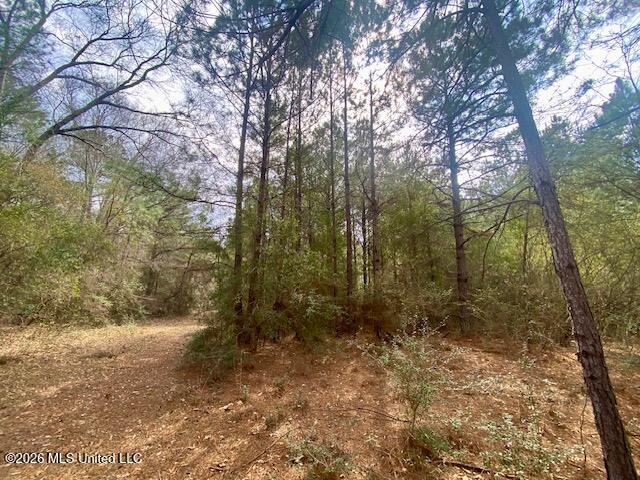 2190 Summit Holmesville Road McComb, MS 39648 - Photo 7 of 16 IMG_9017