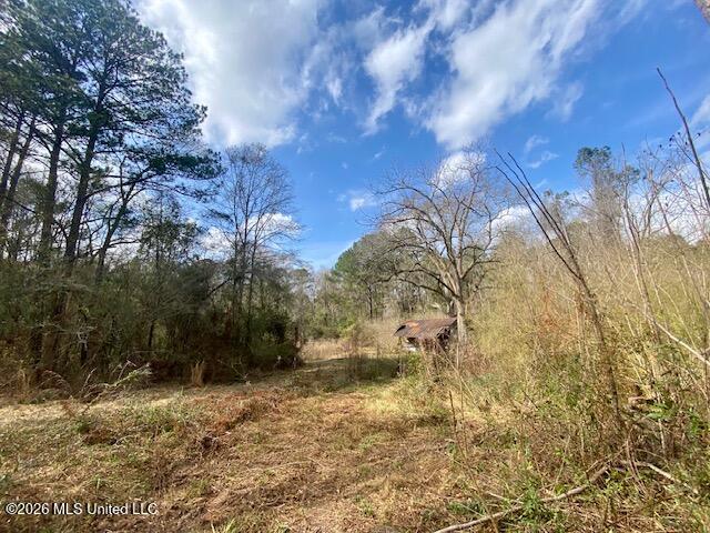 2190 Summit Holmesville Road McComb, MS 39648 - Photo 9 of 16 IMG_9015
