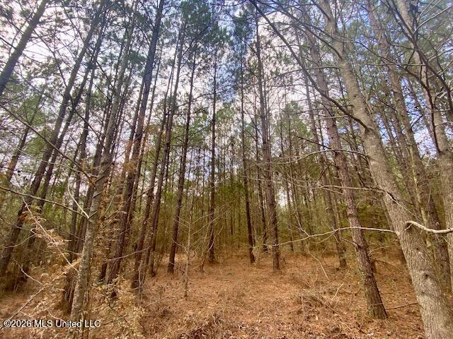 2190 Summit Holmesville Road McComb, MS 39648 - Photo 10 of 16 IMG_9019