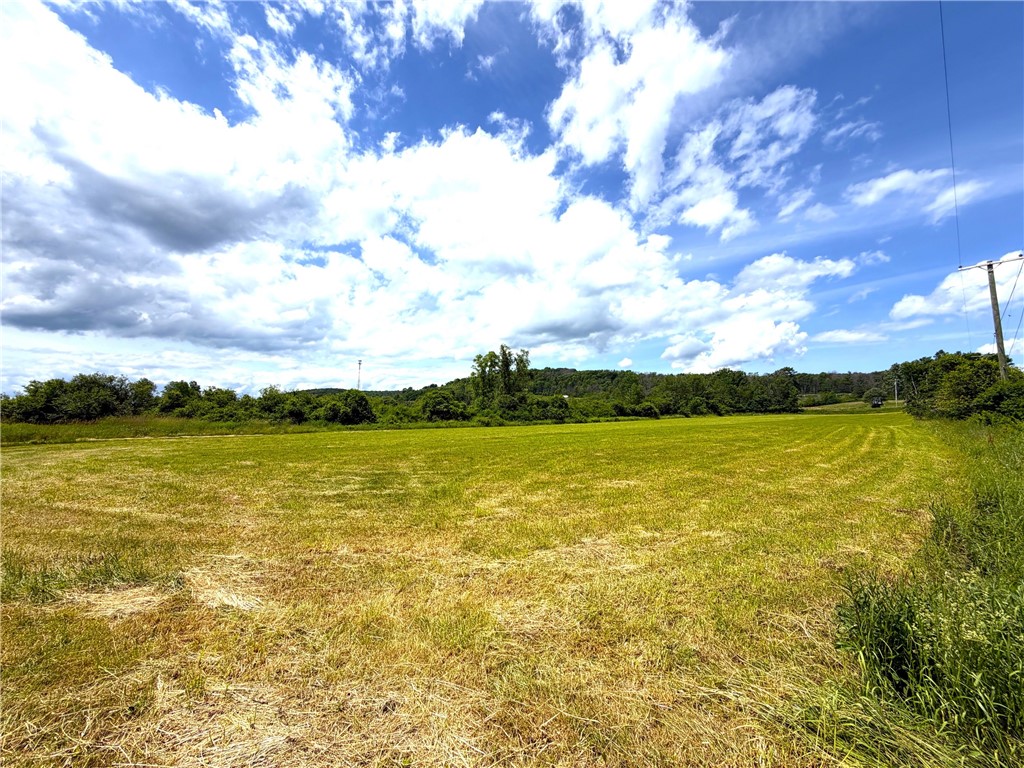Lot 4 Summit Road Cuba, NY 14727 - Photo 3 of 20