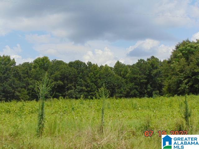 0 County Road 501 Verbena, AL 36091 - Photo 6 of 6
