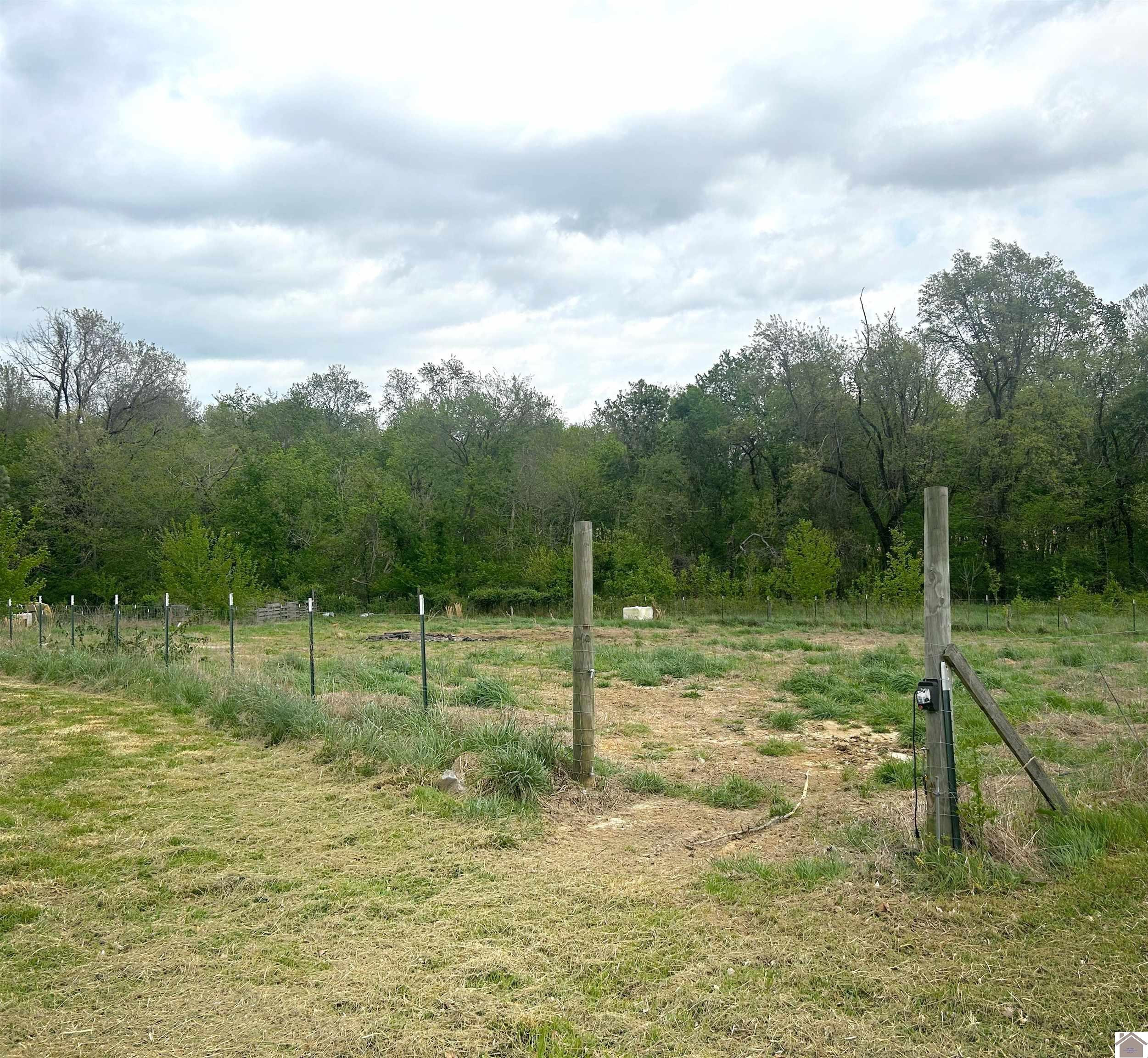 1311 Old Dukedom Road Mayfield, KY 42066 - Photo 16 of 16 Photo 16