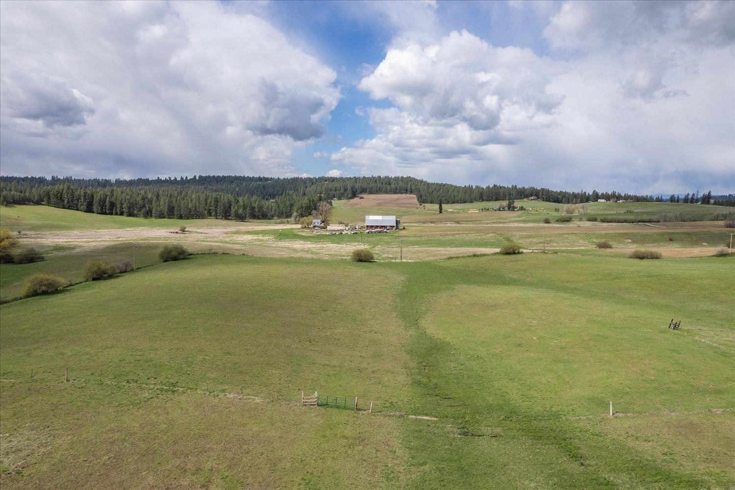 Xxxxx North Madison Road Chattaroy, WA 99003 - Photo 11 of 20