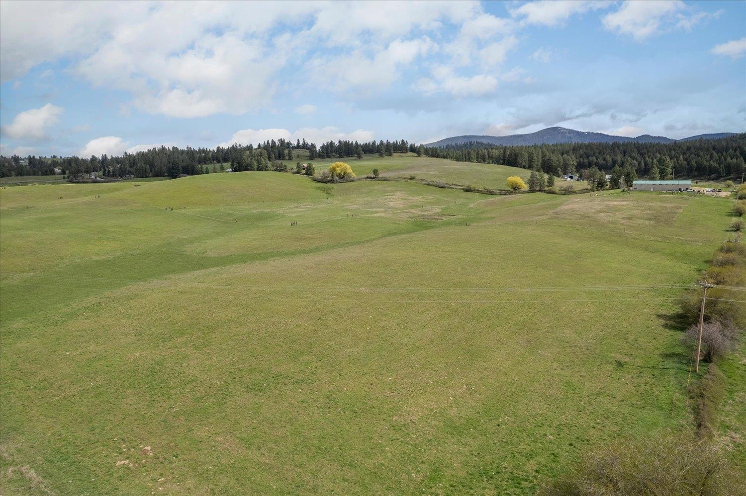 Xxxxx North Madison Road Chattaroy, WA 99003 - Photo 13 of 20