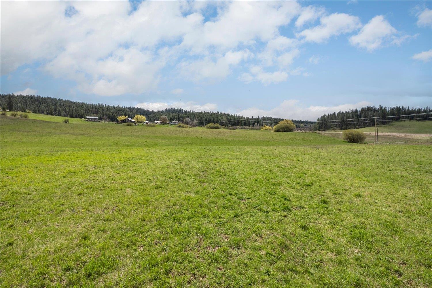 Xxxxx North Madison Road Chattaroy, WA 99003 - Photo 15 of 20