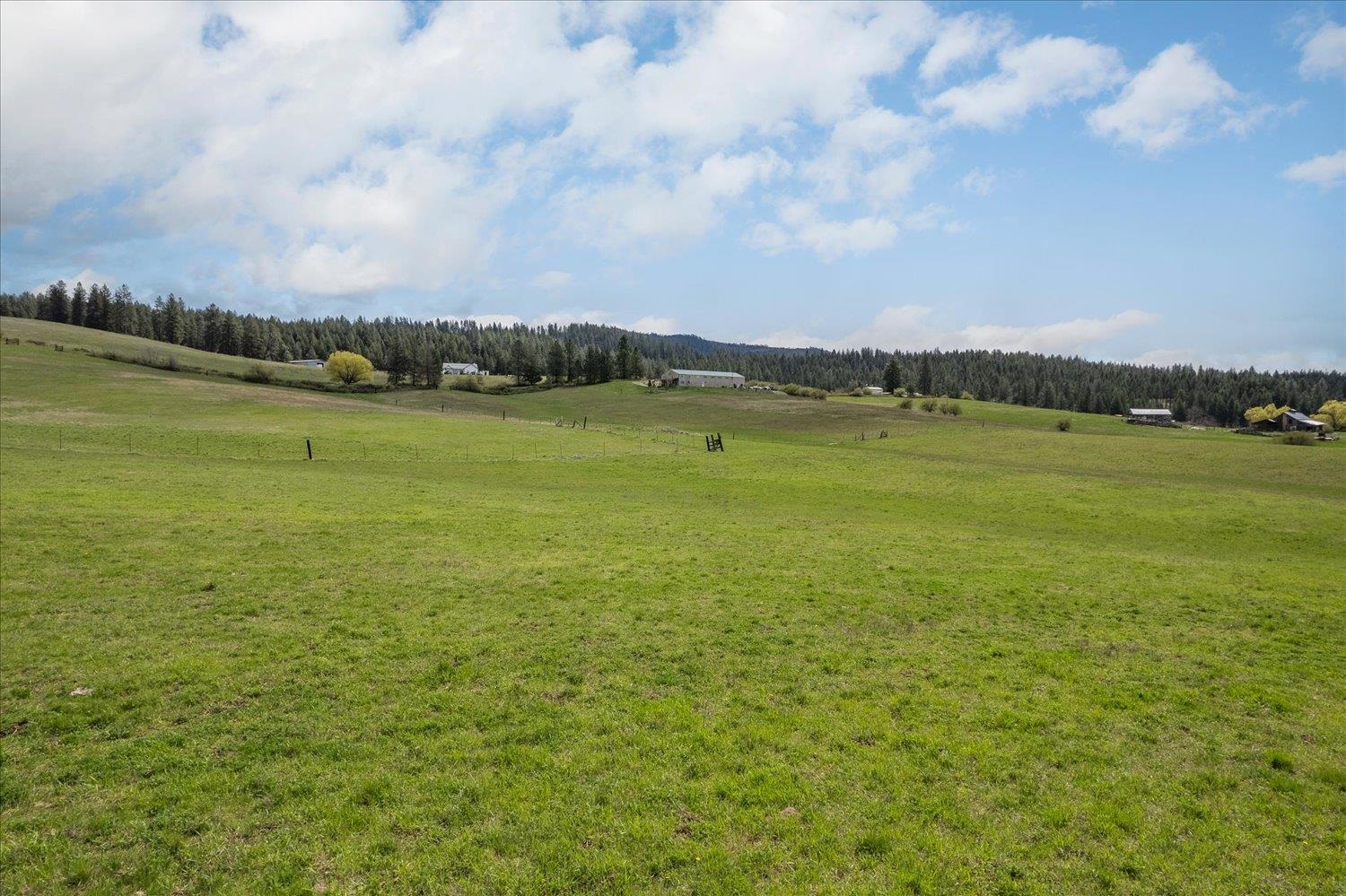 Xxxxx North Madison Road Chattaroy, WA 99003 - Photo 16 of 20