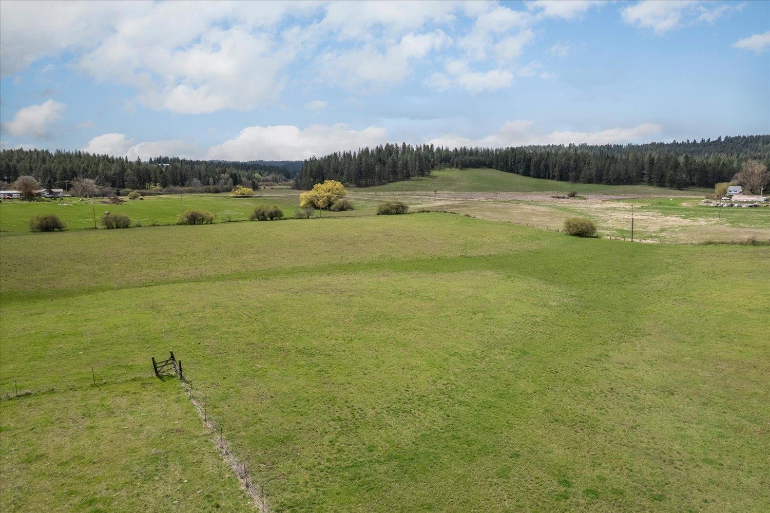 Xxxxx North Madison Road Chattaroy, WA 99003 - Photo 17 of 20
