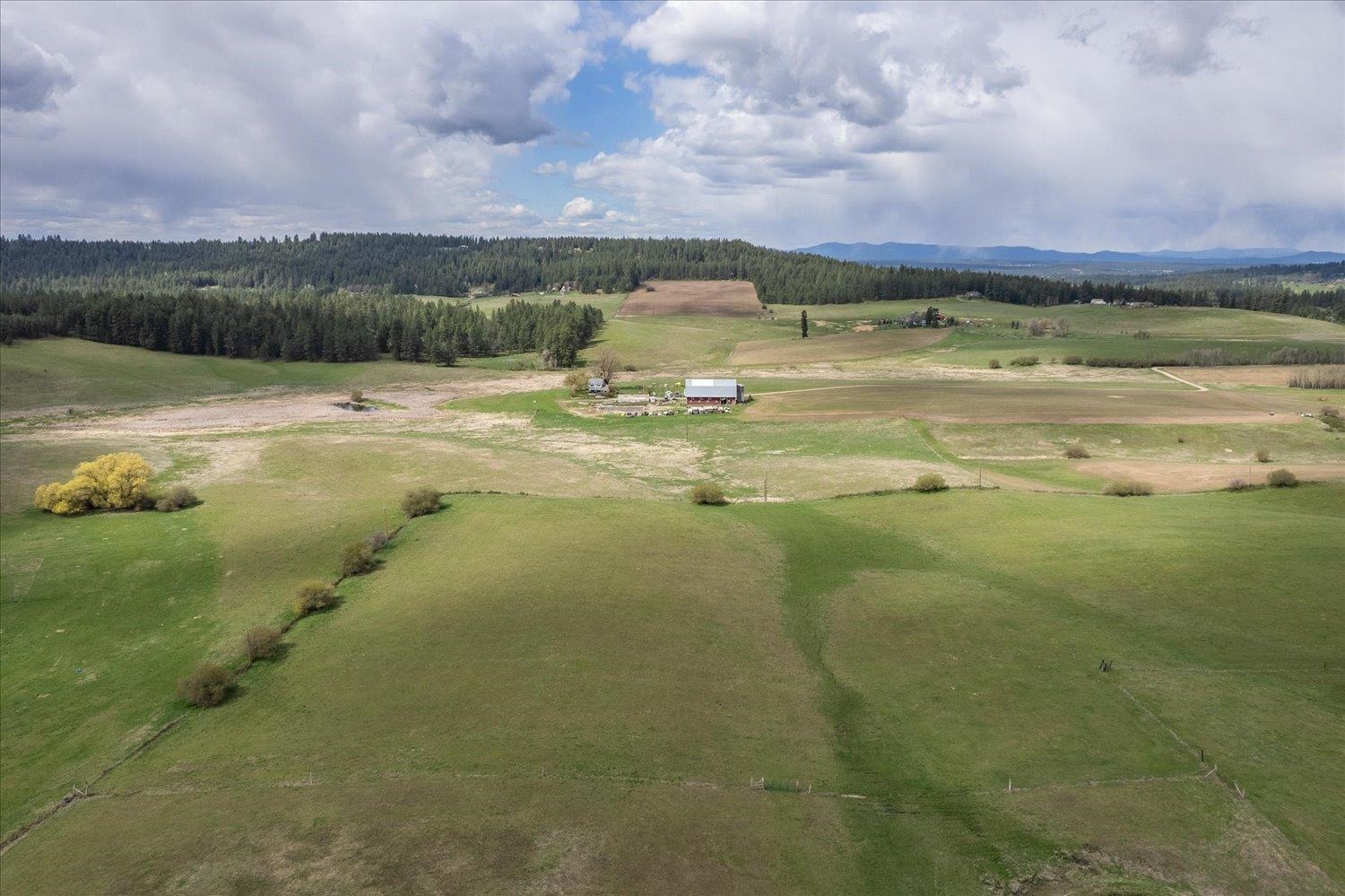 Xxxxx North Madison Road Chattaroy, WA 99003 - Photo 4 of 20