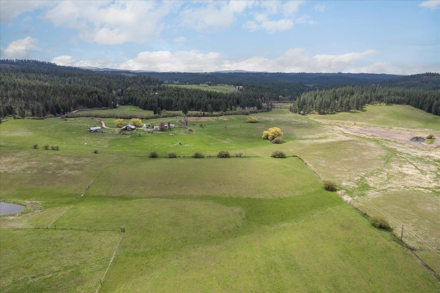 Xxxxx North Madison Road Chattaroy, WA 99003 - Photo 10 of 20