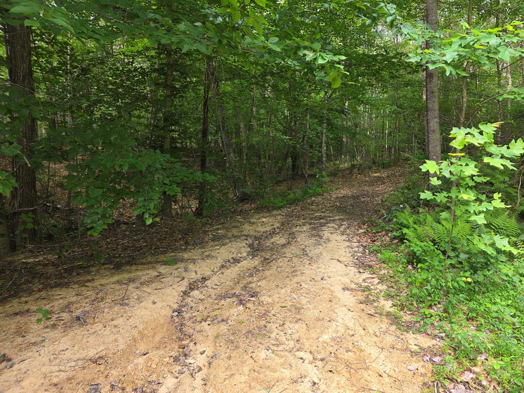 1408 Piney Mountain Road Appomattox, VA 24522 - Photo 62 of 85 Gallery Image 62