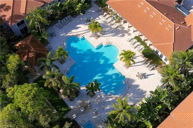 a view of a flower in a garden