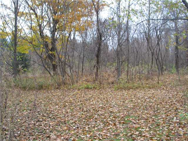 Vl Walworth Road Ontario, NY 14519 - Photo 1 of 1 Land