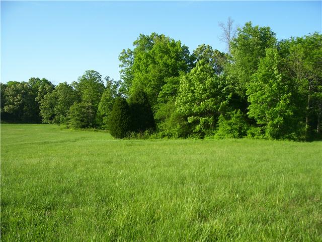 0 Michael Lankford Road Fairview, TN 37062 - Photo 3 of 10 Gallery Image 3