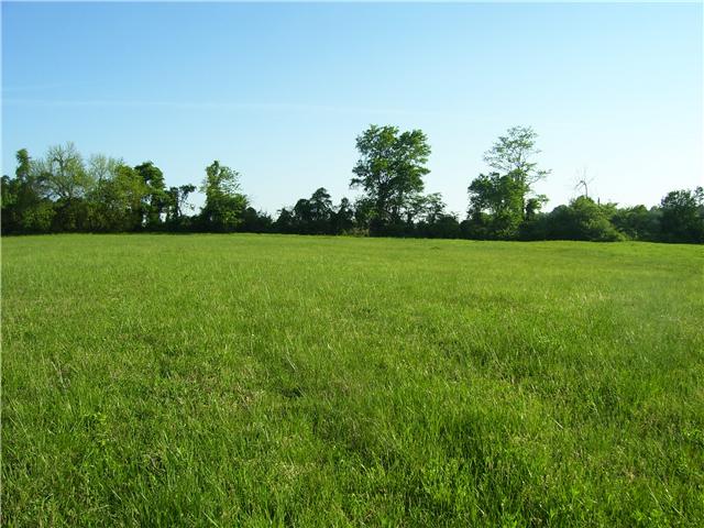 0 Michael Lankford Road Fairview, TN 37062 - Photo 4 of 10 Gallery Image 4