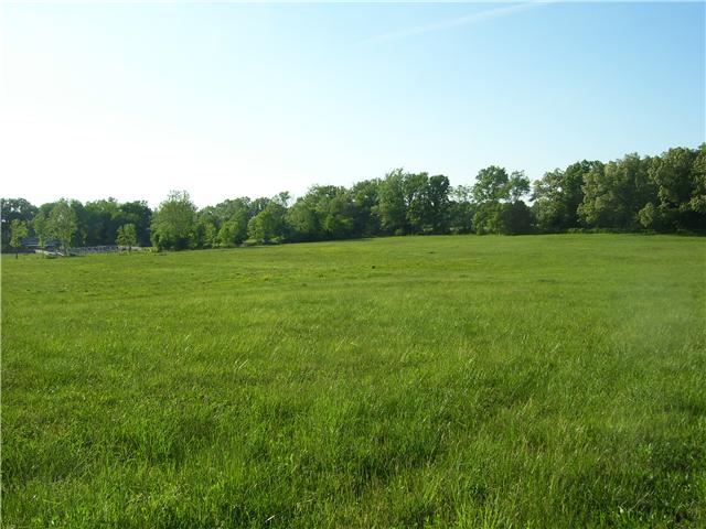 0 Michael Lankford Road Fairview, TN 37062 - Photo 5 of 10 Gallery Image 5