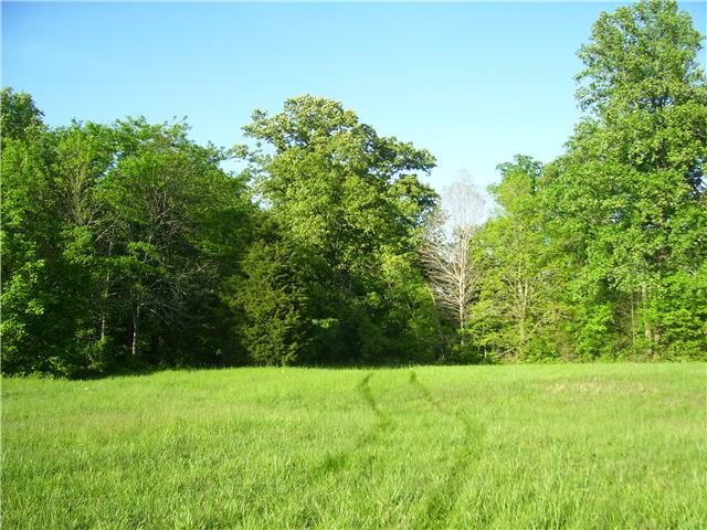 0 Michael Lankford Road Fairview, TN 37062 - Photo 8 of 10 Gallery Image 8