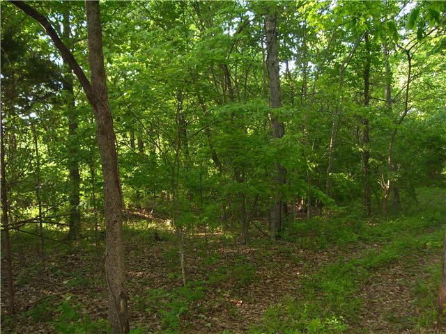 0 Michael Lankford Road Fairview, TN 37062 - Photo 9 of 10 Gallery Image 9