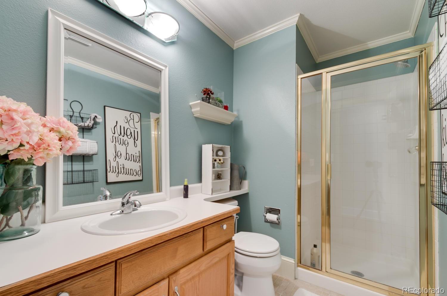 9835 Spring Hill Street Highlands Ranch, CO 80129 - Photo 25 of 33 Gallery Image 25