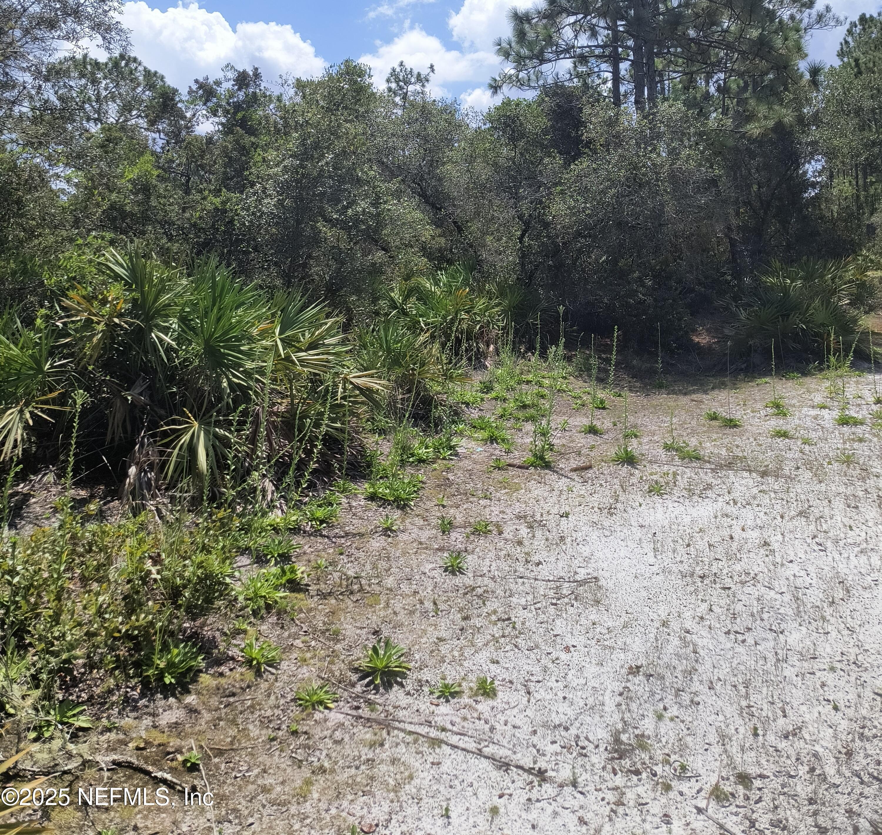 708 Squares Road Palatka, FL 32177 - Photo 11 of 13 1000021154
