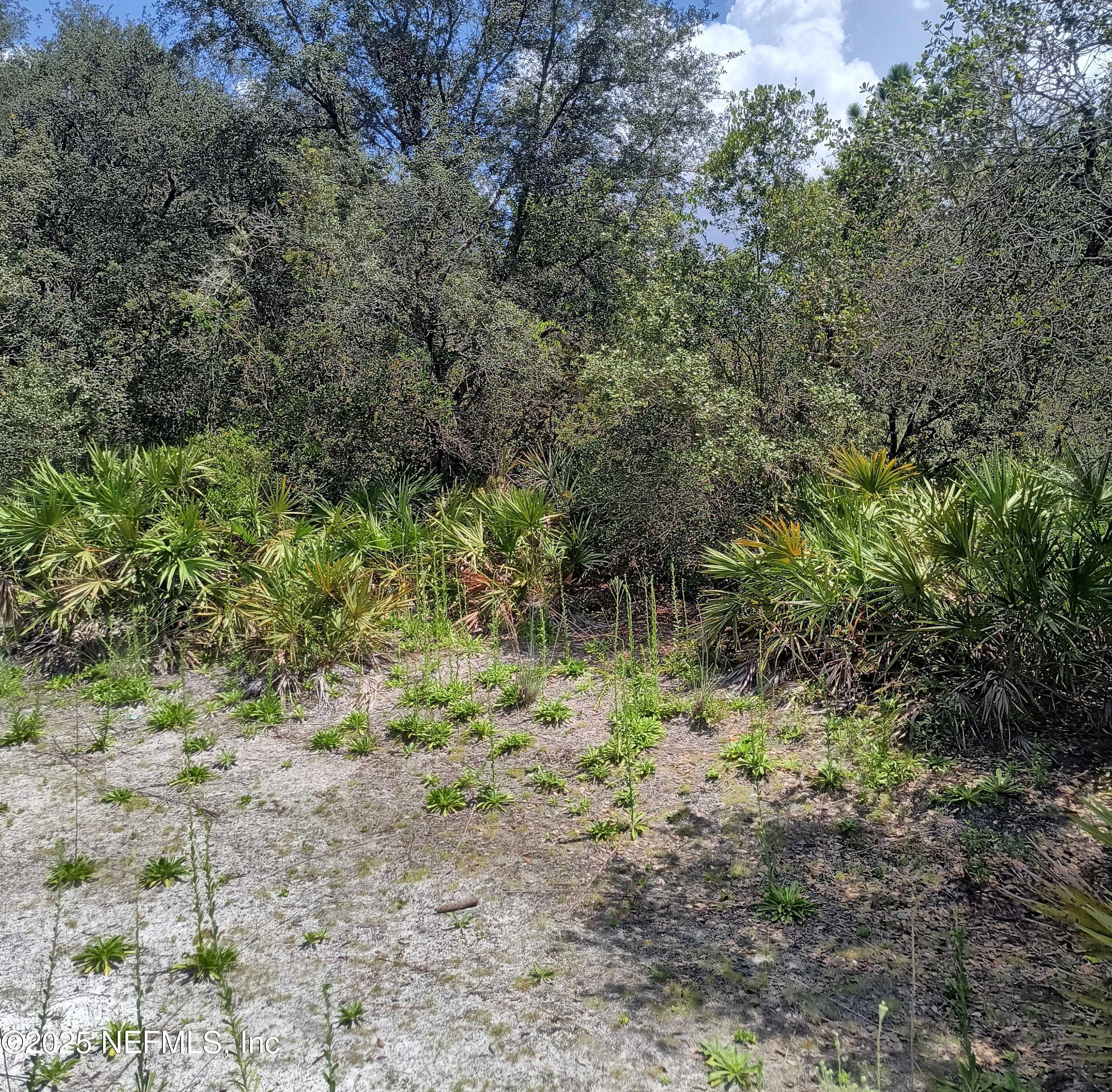 708 Squares Road Palatka, FL 32177 - Photo 12 of 13 1000021151