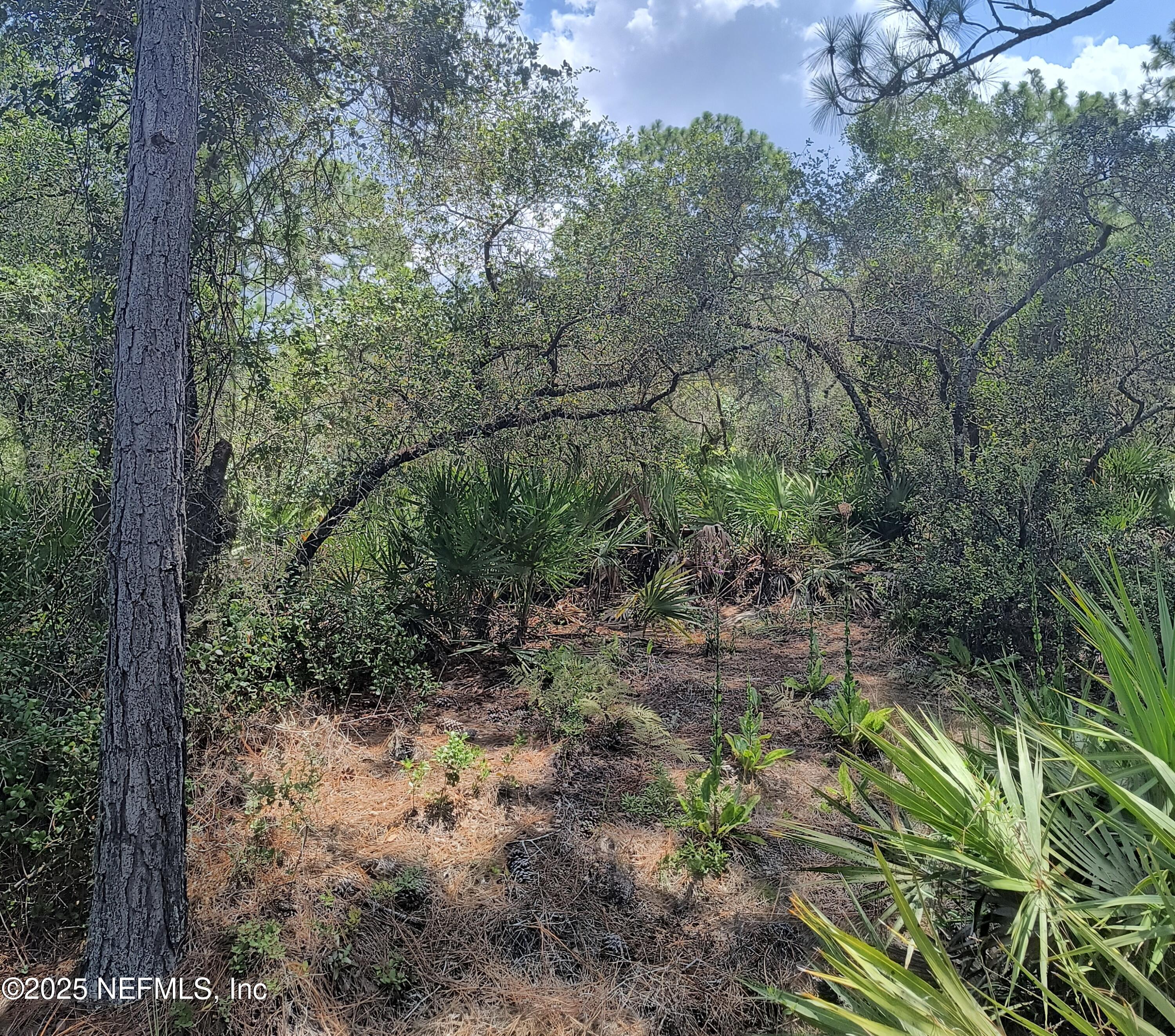 708 Squares Road Palatka, FL 32177 - Photo 13 of 13 1000021152