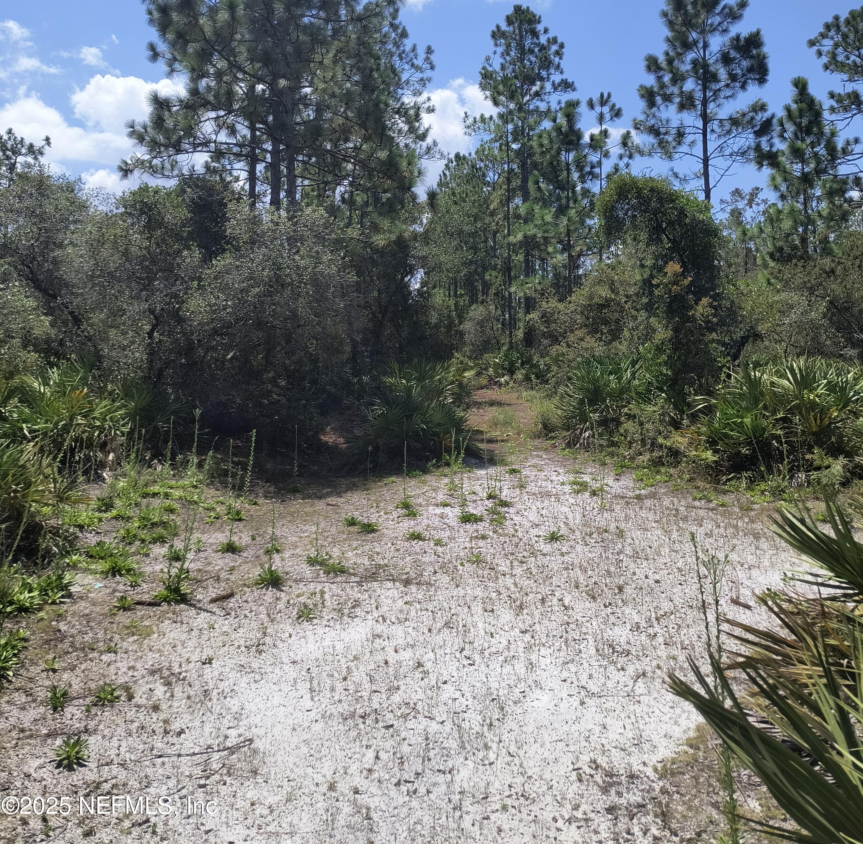 708 Squares Road Palatka, FL 32177 - Photo 8 of 13 1000021155