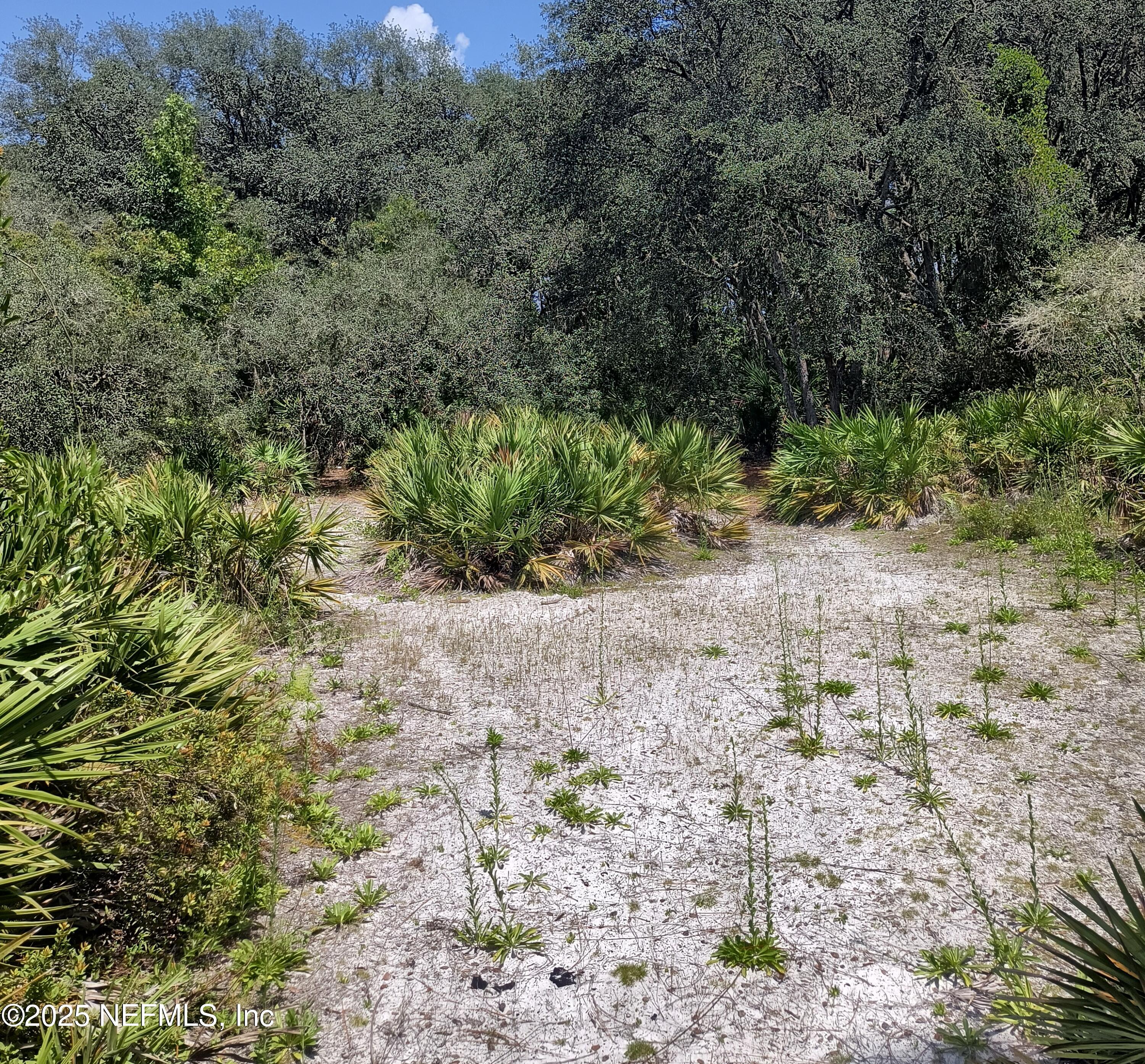708 Squares Road Palatka, FL 32177 - Photo 9 of 13 1000021149