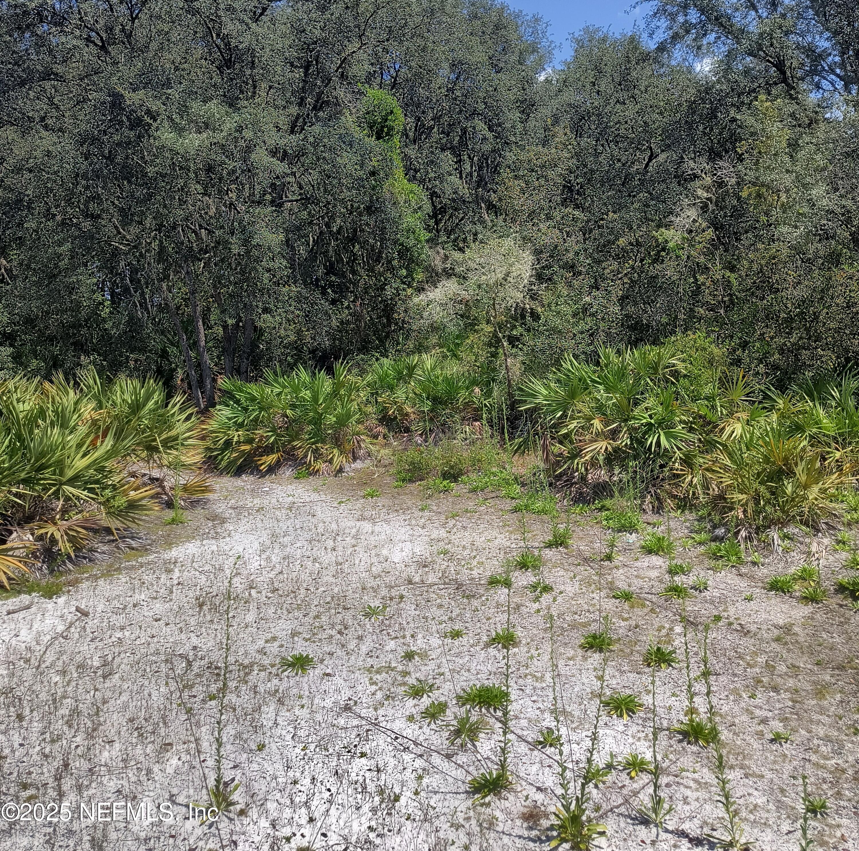 708 Squares Road Palatka, FL 32177 - Photo 10 of 13 1000021150