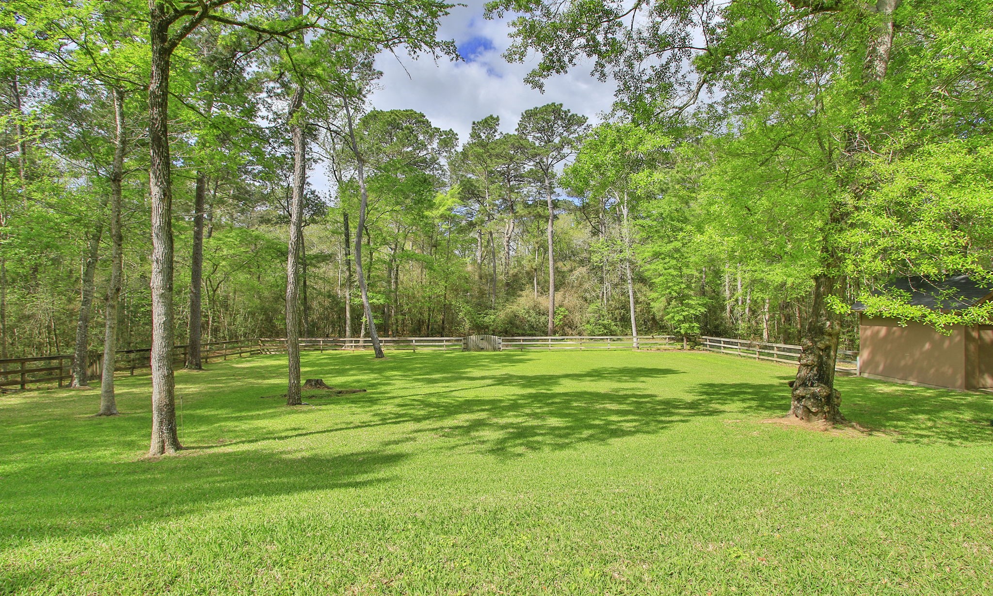 28007 Hickory Court Magnolia, TX 77355 - Photo 42 of 49 a view of a park with a tree