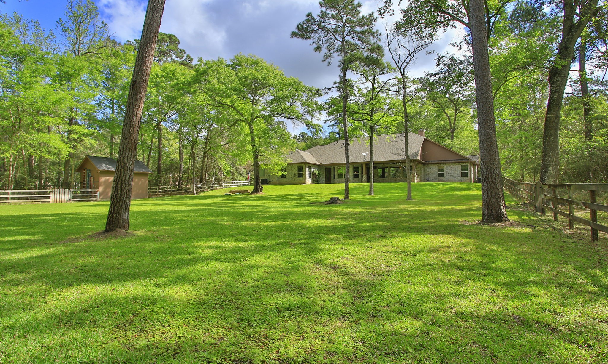 28007 Hickory Court Magnolia, TX 77355 - Photo 43 of 49 a view of park with trees