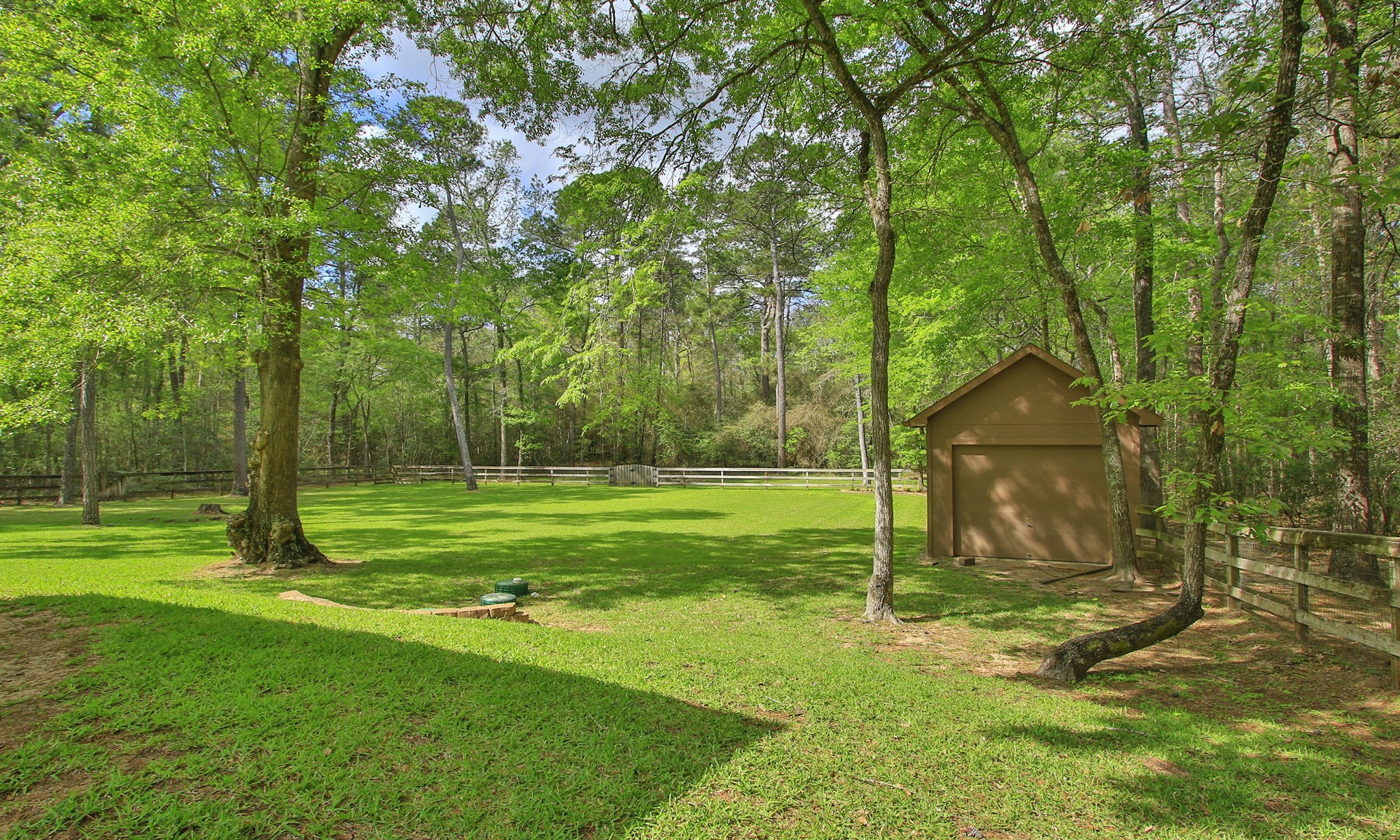 28007 Hickory Court Magnolia, TX 77355 - Photo 45 of 49