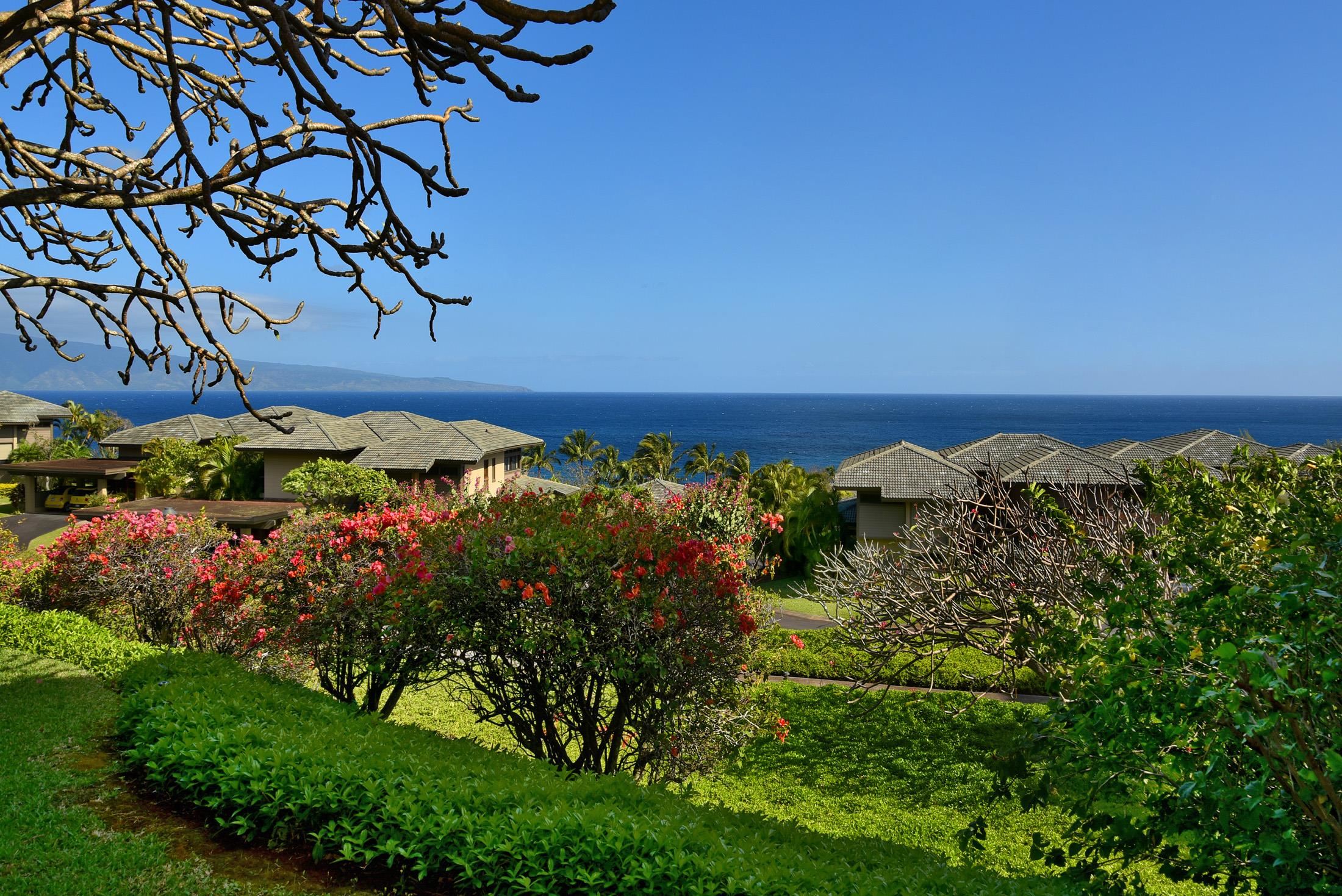 100 Ridge Road, Unit 101315 Lahaina, HI 96761 - Photo 1 of 23 a view of a lake