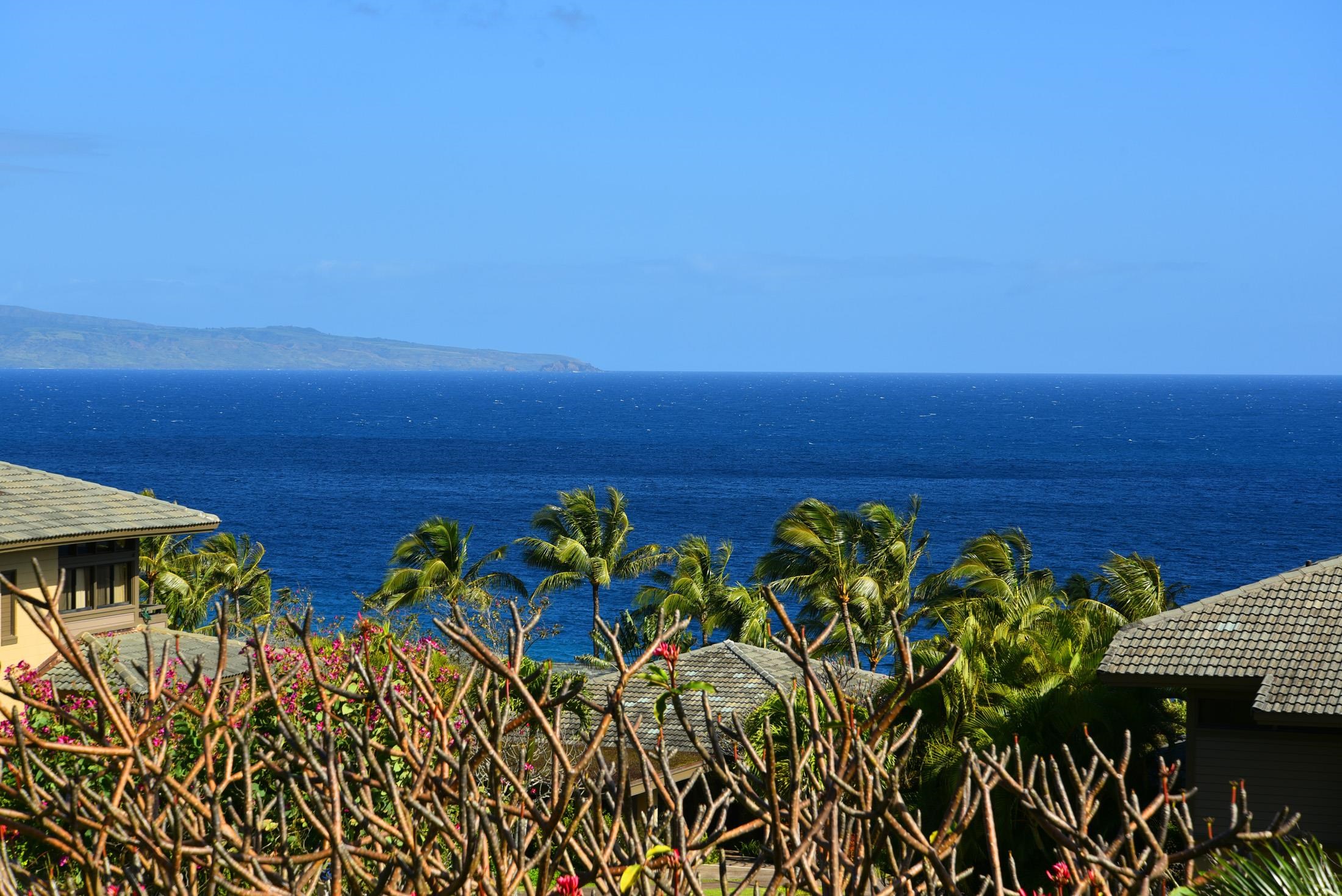 100 Ridge Road, Unit 101315 Lahaina, HI 96761 - Photo 2 of 23 view of a bunch of trees in front of house