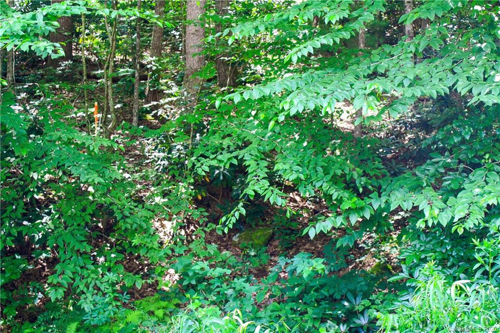Tbd Seay Road Candler, NC 28715 - Photo 14 of 26 Gallery Image 14