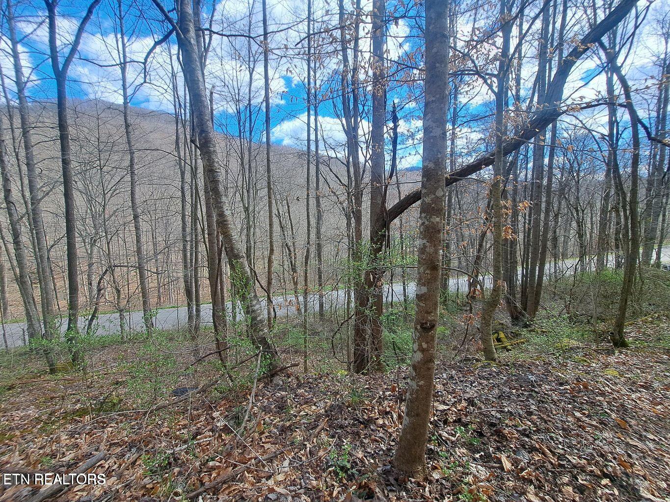 Jakes Branch Road Pioneer, TN 37847 - Photo 3 of 16 20240318174501438969000000-o