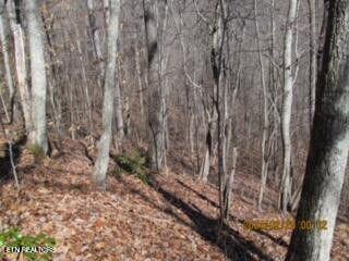 Jakes Branch Road Pioneer, TN 37847 - Photo 4 of 16 20240318000909810434000000-o