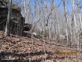 Jakes Branch Road Pioneer, TN 37847 - Photo 6 of 16 20240318000908230188000000-o