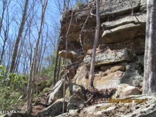 Jakes Branch Road Pioneer, TN 37847 - Photo 8 of 16 20240318000906667050000000-o