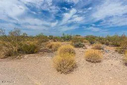 a view of a city with trees in the background