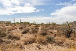 a view of a city with green space