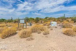 a view of a yard with an trees