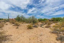 a view of a yard with trees