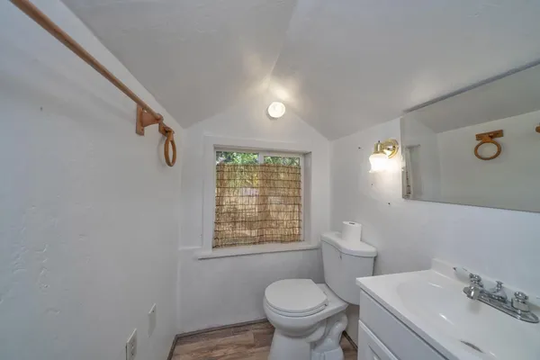 a view of a yard with plants and trees