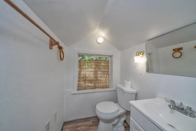 a view of a yard with plants and trees