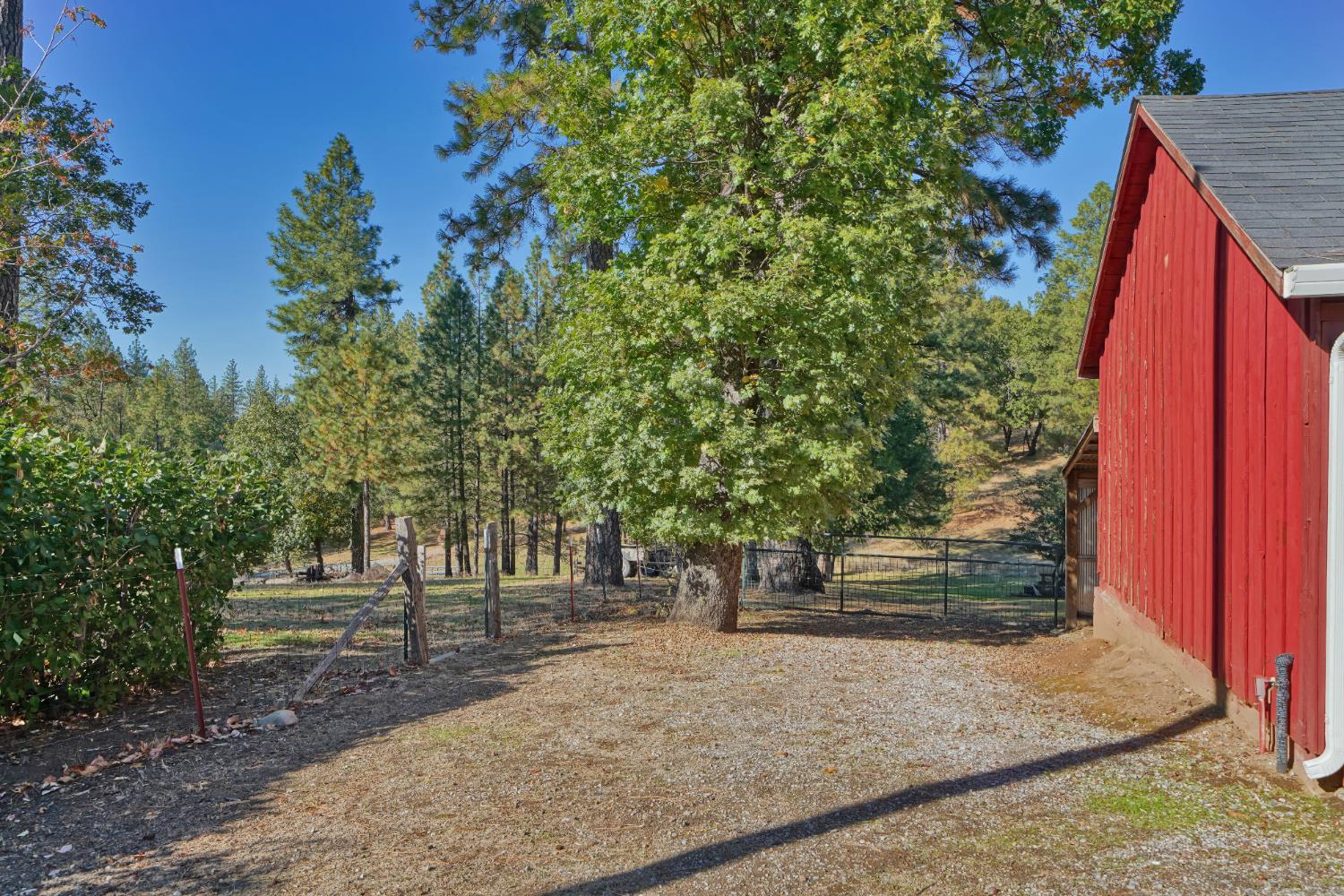 8205 Grizzly Flat Road Somerset, CA 95684 - Photo 36 of 59