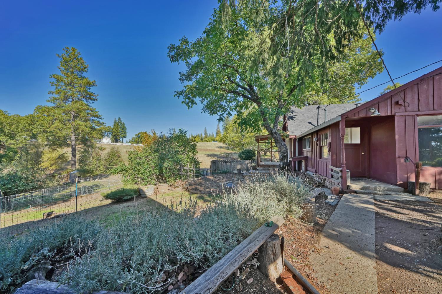 8205 Grizzly Flat Road Somerset, CA 95684 - Photo 40 of 59